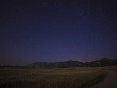 Murder, Polar Bears, and Arctic Hurricanes: The Many Twists and Turns of a 2008 Whaling Research Expedition