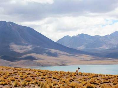 How Did The World Get So Ugly?: Then Versus Now