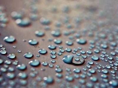 Thanks: W.S. Merwin’s Ode to the Defiant Courage of Gratitude in a Broken World