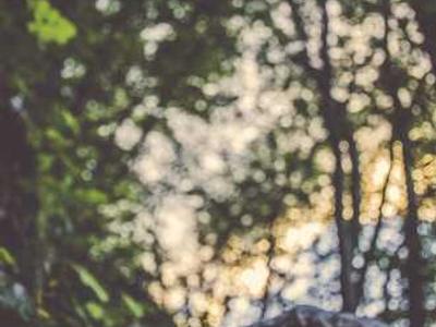 Sentinels of the Soul: Kahlil Gibran’s Moving Letter to a Soldier in a Senseless War