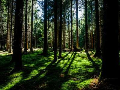 Lit Hub Weekly: April 6 – 10, 2026