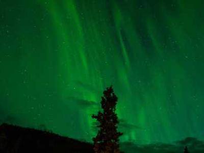 Isaac Asimov Predicts the Future on The David Letterman Show (1980)