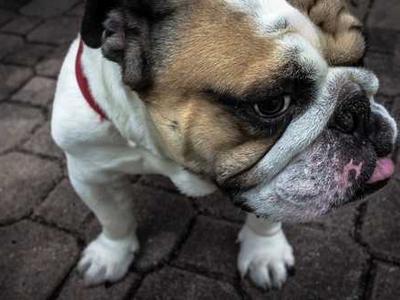 Book Riot’s Deals of the Day for February 3, 2026