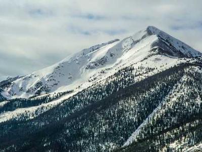 Relationship Rupture and the Limbic System: The Physiology of Abandonment and Separation