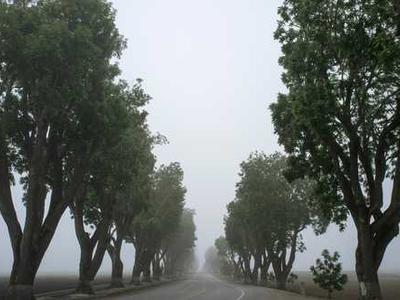 Take a Literary Pilgrimage to Jane Austen’s England