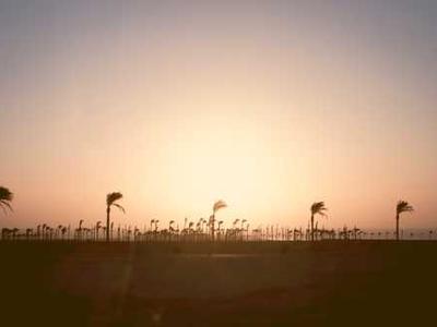 Download 1300 Still Images from the Animated Films of Hayao Miyazaki’s Studio Ghibli