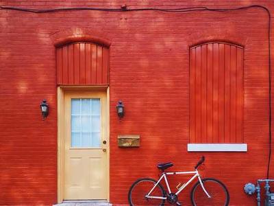 Meet These Delightful Bookshop Cats (and One Dog!)