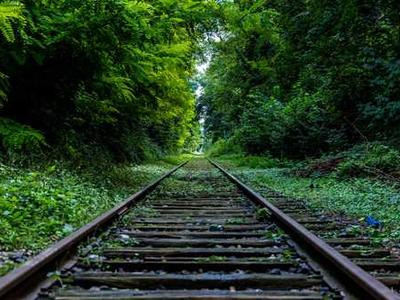 One great poem to read today: Mark Doty’s “Visitation”