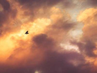 Download 1300 Still Images from the Animated Films of Hayao Miyazaki’s Studio Ghibli