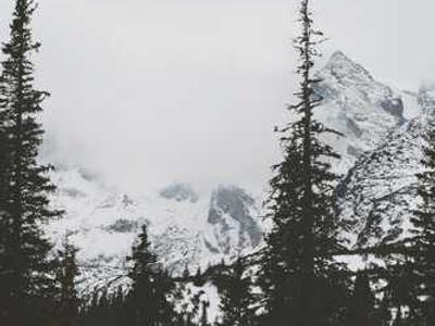 The Best Reviewed Nonfiction of 2025