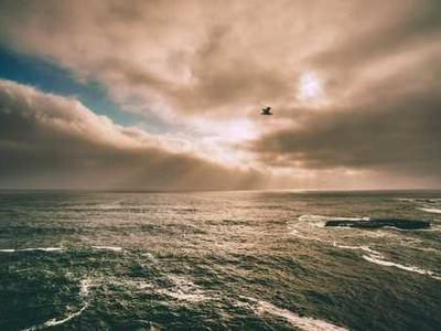 Thanks: W.S. Merwin’s Ode to the Defiant Courage of Gratitude in a Broken World