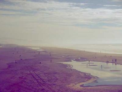 74 Ways Characters Die in Shakespeare’s Plays Shown in a Handy Infographic: From Snakebites to Lack of Sleep