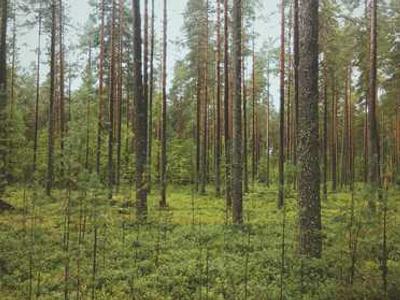 How Did The World Get So Ugly?: Then Versus Now