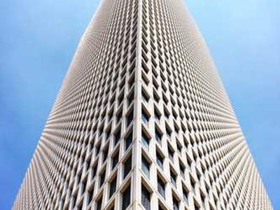 The Magic of Moss and What It Teaches Us About the Art of Attentiveness to Life at All Scales