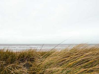 This week’s news in Venn diagrams.