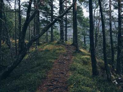 Kafka’s Approach to Creative Block and the Four Psychological Hindrances That Keep the Gifted from Living Up to Their Gifts