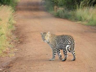 I wore 5 different headphones across 8 flights - here's how each pair won (and lost)