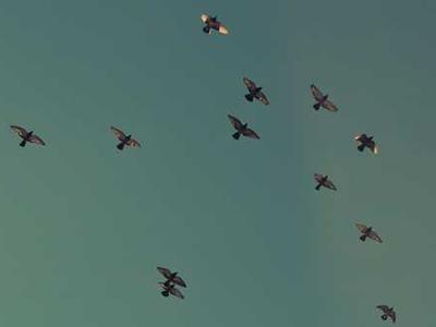 The Indissoluble Filament Connecting Us All: Patti Smith on What It Means to Be an Artist