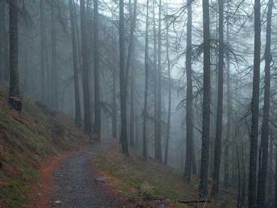 Heed Your Daemon: Rudyard Kipling on Writing