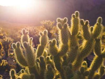 5 business leaders on how to balance innovation with risk - and turn your ideas into action