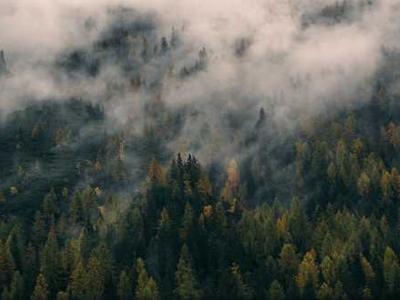 On the Conservatism of Contemporary Literary Fiction