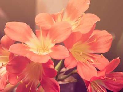 Against the Cartesian Myth of Work/Life Balance: André Gregory’s Extraordinary Letter to Richard Avedon about the Nature of Creativity