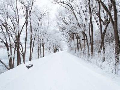 Midnight Motorbike: A Lullaby of Wonder for the Sleepless, Inspired by the Whimsy of South India