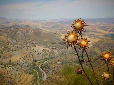 Little Free Library Divinations: Searching for the Meaning of Life in Discarded Books and Found Objects