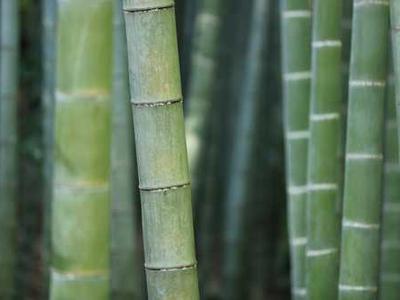 A General Theory of Possibility: The Abstract Art of Otherwise and the Physics of Resilience