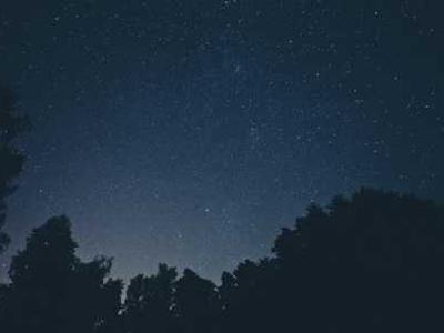 Are Writers Intrinsically Vulnerable to Alcohol and Drugs?