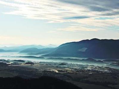How to Be a Lichen: Adaptive Strategies for the Vulnerabilities of Being Human from Nature’s Tiny Titans of Tenacity
