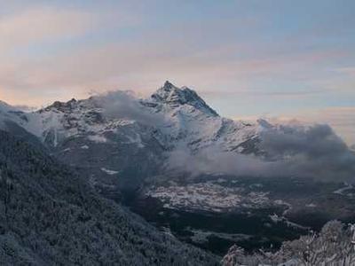 The Magic of Moss and What It Teaches Us About the Art of Attentiveness to Life at All Scales
