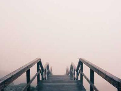 Five totally plausible reading trends to watch out for this summer.