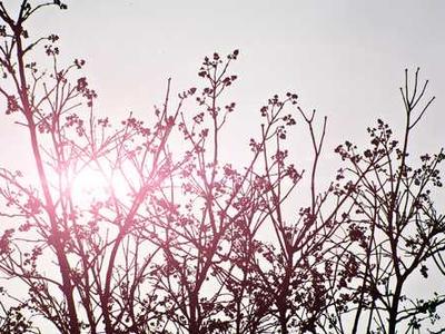 How to Be Human: Kahlil Gibran’s Recipe for Our Spiritual Perfection as a Species