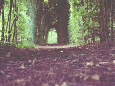 How Many Humans Have Ever Lived, and How Many Are Alive Right Now?