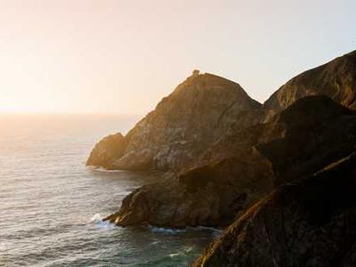 A Lamentation for Linnaeus: In Praise of Confusion and Rewilding Wonder