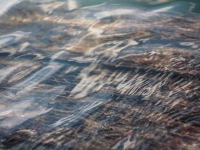 Beatitude: Poet John Keene’s Spell Against Despair