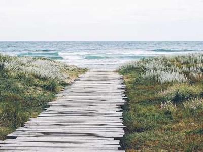 Why you should get (back) into RSS curation.