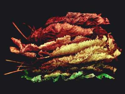 George Orwell’s Six Rules for Writing Clear and Tight Prose