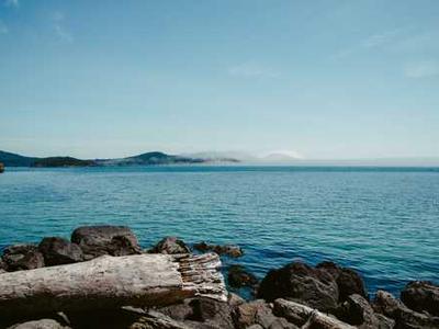 Thomas Bernhard on Walking, Thinking, and the Paradox of Self-Reflection