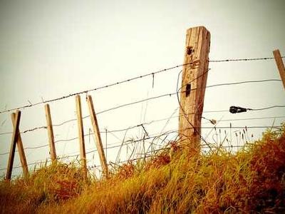 The Lighthouse Keeper: A Tender Illustrated Meditation on What Saves Us