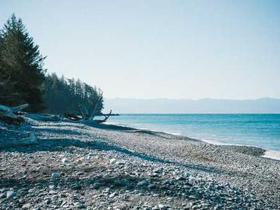 On the Conservatism of Contemporary Literary Fiction