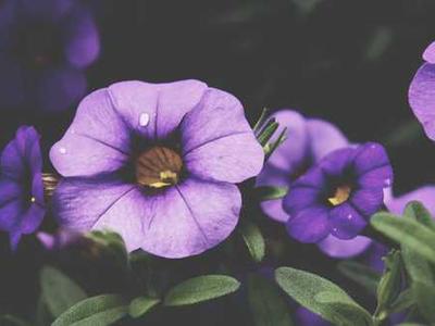 Can Bibliotherapy Heal the Pain of the World? 