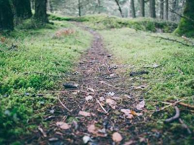 A Nobel Prize-Winner Wrote the Boarding School Book of All Boarding School Books