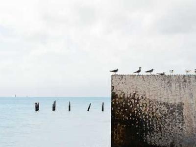 Midnight Motorbike: A Lullaby of Wonder for the Sleepless, Inspired by the Whimsy of South India