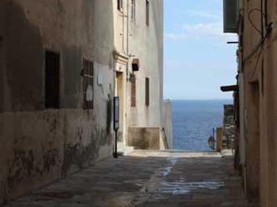 Zadie Smith, Catherine Newman, Cameron Crowe, and more: 23 new books out today!