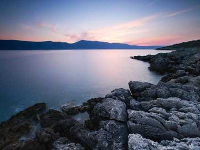 The Magic of Moss and What It Teaches Us About the Art of Attentiveness to Life at All Scales