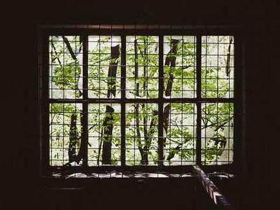 Molly Crabapple on History as a Necromantic Art