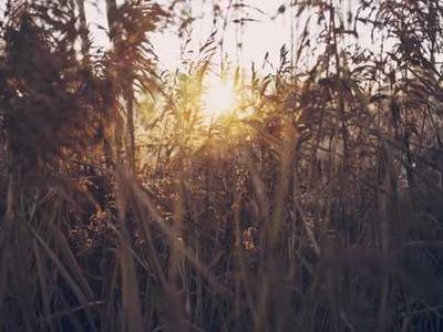 Favorite Books of 2025