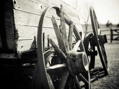 Unselfing into Oneness with the All: The Forgotten Visionary Margaret Fuller on Transcendence